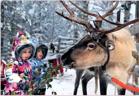 Иллюстрация к книге — Маму вперед! Счастье без стеснения [i_022.jpg]