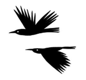 Иллюстрация к книге — Магия на каждый день [i_002.jpg]