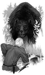 Иллюстрация к книге — Хождение в Похъёлу [i_005.jpg]