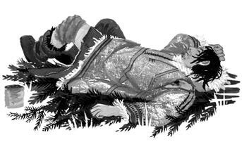 Иллюстрация к книге — Хождение в Похъёлу [i_027.jpg]