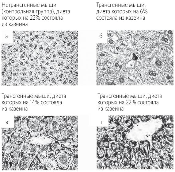 Иллюстрация к книге — Китайское исследование [i_019.jpg]