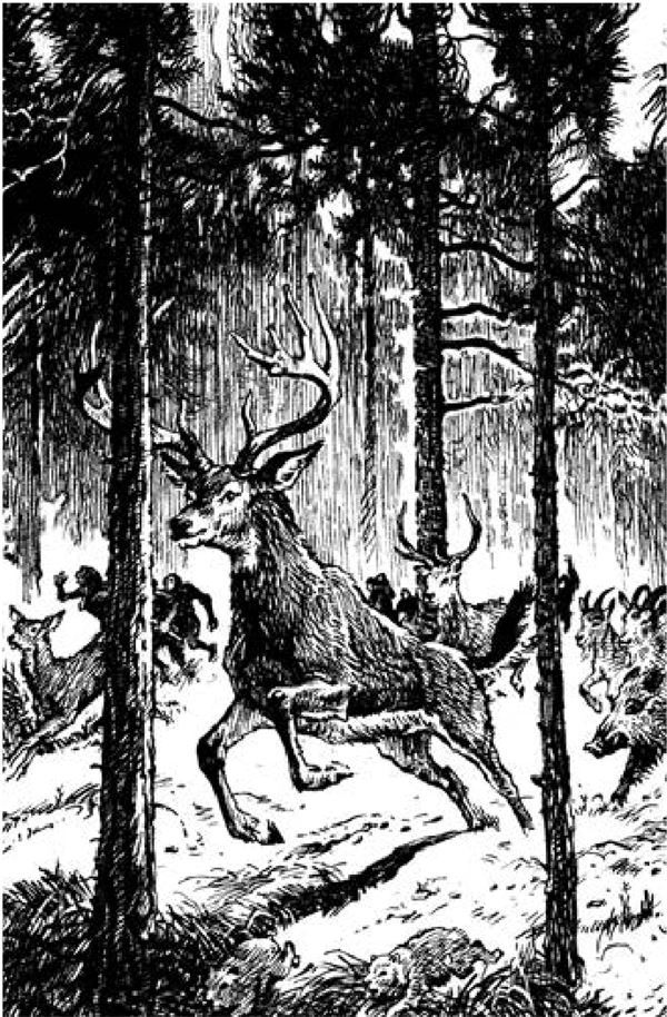 Иллюстрация к книге — Рам и Гау. Повесть об обезьянолюдях [i_004.jpg]