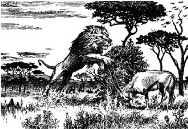 Иллюстрация к книге — Рам и Гау. Повесть об обезьянолюдях [i_016.jpg]