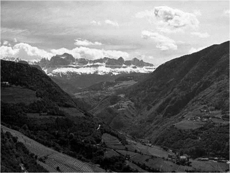 Иллюстрация к книге — Вкусная Венеция. Любовь, еда и тайны северной Италии [image30.jpg]