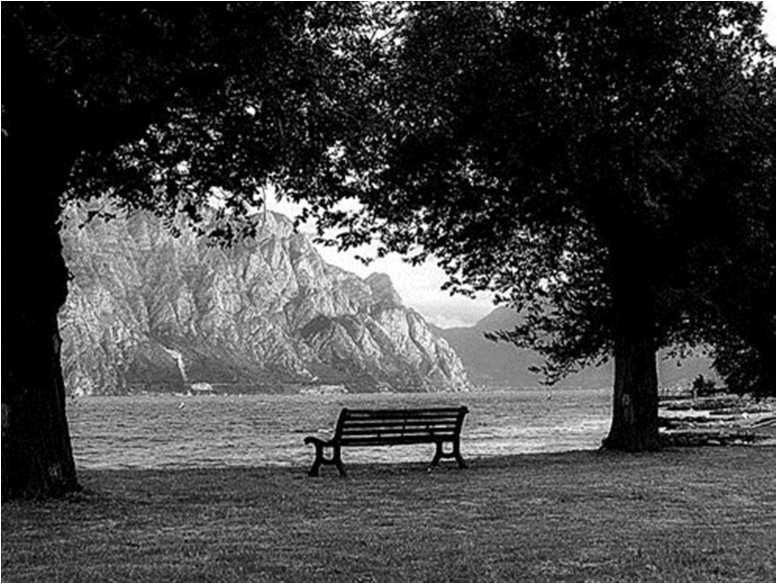 Иллюстрация к книге — Вкусная Венеция. Любовь, еда и тайны северной Италии [image42.jpg]