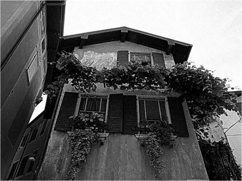 Иллюстрация к книге — Вкусная Венеция. Любовь, еда и тайны северной Италии [image43.jpg]