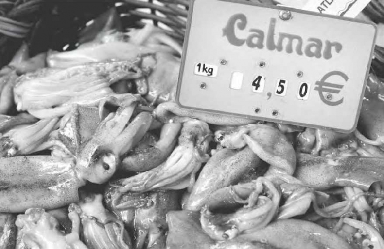 Иллюстрация к книге — Сладкая жизнь в Париже. Гастрономические авантюры в самом прославленном и противоречивом городе мира [i_012.jpg]