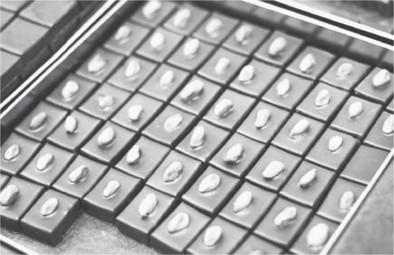 Иллюстрация к книге — Сладкая жизнь в Париже. Гастрономические авантюры в самом прославленном и противоречивом городе мира [i_028.jpg]