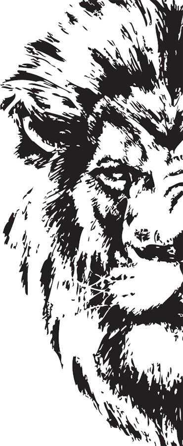 Иллюстрация к книге — Ослам не дают! Львиная инструкция по соблазнению топовых женщин [i_002.jpg]