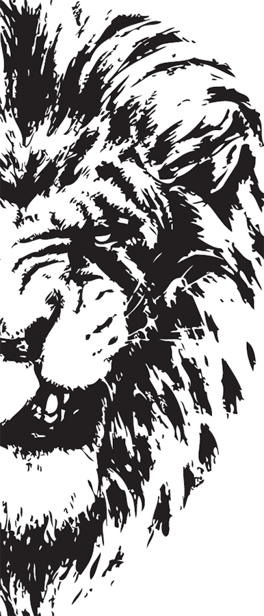 Иллюстрация к книге — Ослам не дают! Львиная инструкция по соблазнению топовых женщин [i_003.jpg]