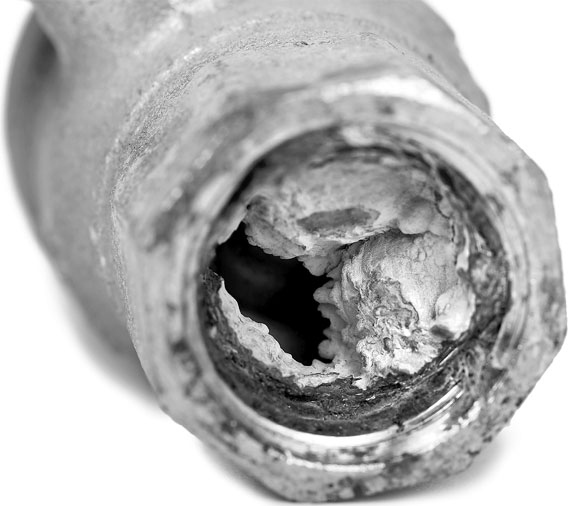 Иллюстрация к книге — Поможет только вода [_63.jpg]