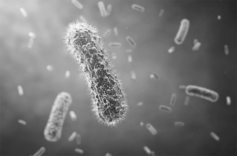 Иллюстрация к книге — Поможет только вода [_79.jpg]