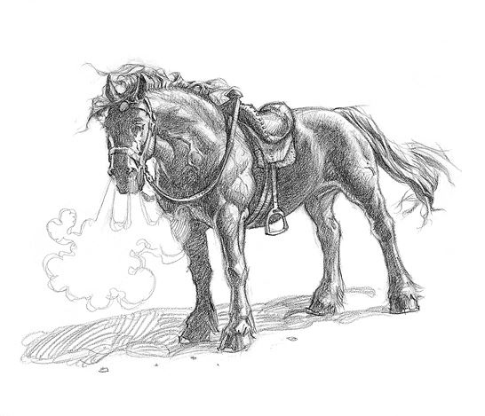 Иллюстрация к книге — Полет дракона [i_018.jpg]