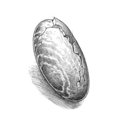 Иллюстрация к книге — Полет дракона [i_024.jpg]