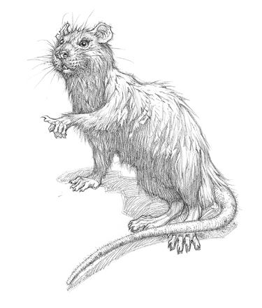 Иллюстрация к книге — Полет дракона [i_047.jpg]