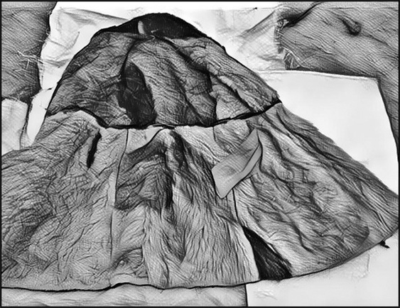 Иллюстрация к книге — Игра в саботаж [i_009.jpg]