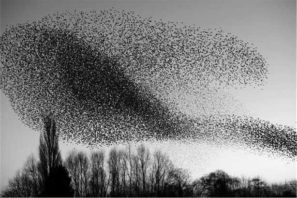 Иллюстрация к книге — Искусство монтажа. Путь фильма от первого кадра до кинотеатра [i_012.jpg]