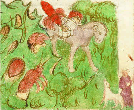 Иллюстрация к книге — История алхимии. Путешествие философского камня из бронзового века в атомный [i_017.jpg]