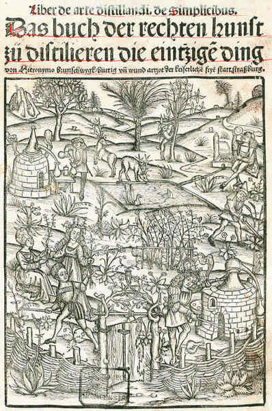 Иллюстрация к книге — История алхимии. Путешествие философского камня из бронзового века в атомный [i_130.jpg]