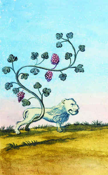 Иллюстрация к книге — История алхимии. Путешествие философского камня из бронзового века в атомный [i_245.jpg]