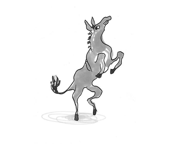 Иллюстрация к книге — Хедвиг совершенно не виновата! [i000003130001.jpg]