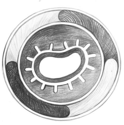 Иллюстрация к книге — Панмедиа. COVID-19, люди и политика [i_006.jpg]