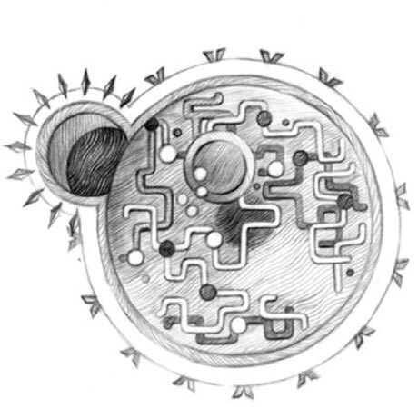 Иллюстрация к книге — Панмедиа. COVID-19, люди и политика [i_007.jpg]