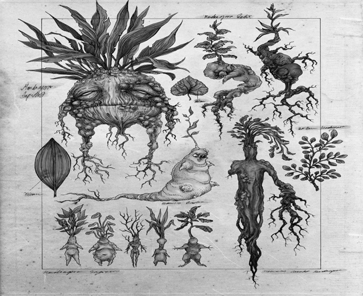 Иллюстрация к книге — Панмедиа. COVID-19, люди и политика [i_021.jpg]