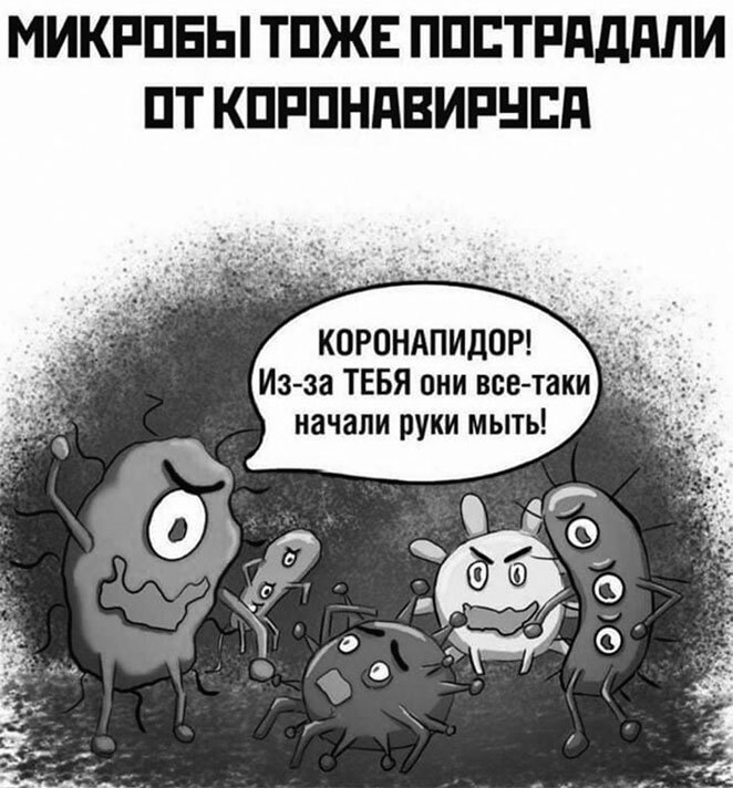 Иллюстрация к книге — Панмедиа. COVID-19, люди и политика [i_032.jpg]