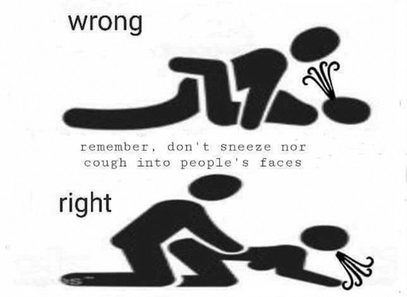 Иллюстрация к книге — Панмедиа. COVID-19, люди и политика [i_033.jpg]