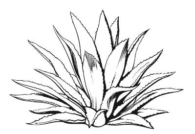 Иллюстрация к книге — Лечебные комнатные растения. ТОП-20 лекарей с вашего подоконника [_2.jpg]