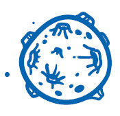 Иллюстрация к книге — Астрофизика начинающим: как понять Вселенную [i_037.jpg]