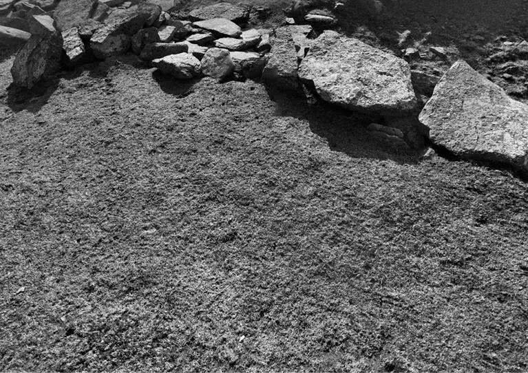 Иллюстрация к книге — Выгон [i_003.jpg]