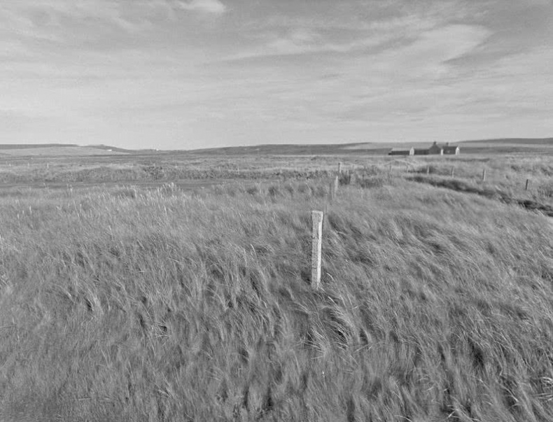 Иллюстрация к книге — Выгон [i_004.jpg]