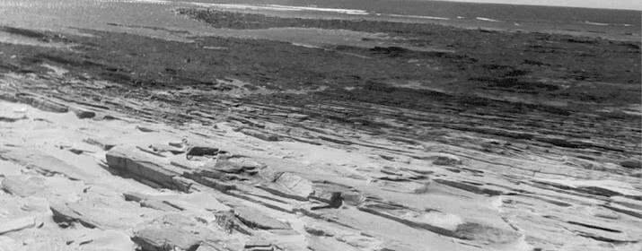 Иллюстрация к книге — Выгон [i_018.jpg]