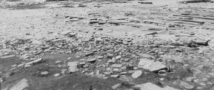 Иллюстрация к книге — Выгон [i_019.jpg]