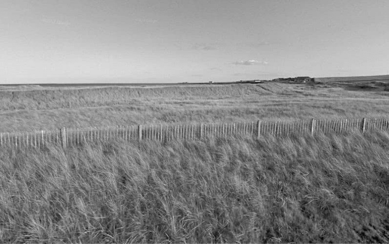 Иллюстрация к книге — Выгон [i_021.jpg]