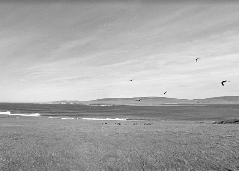 Иллюстрация к книге — Выгон [i_022.jpg]