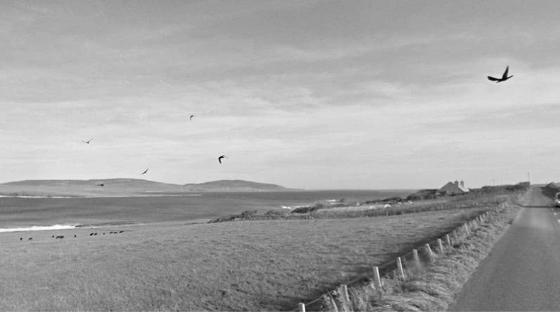 Иллюстрация к книге — Выгон [i_023.jpg]