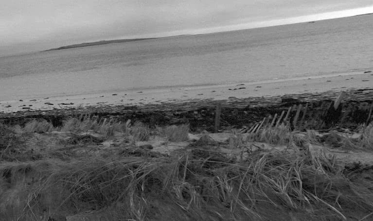 Иллюстрация к книге — Выгон [i_025.jpg]