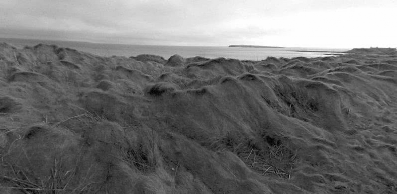 Иллюстрация к книге — Выгон [i_026.jpg]