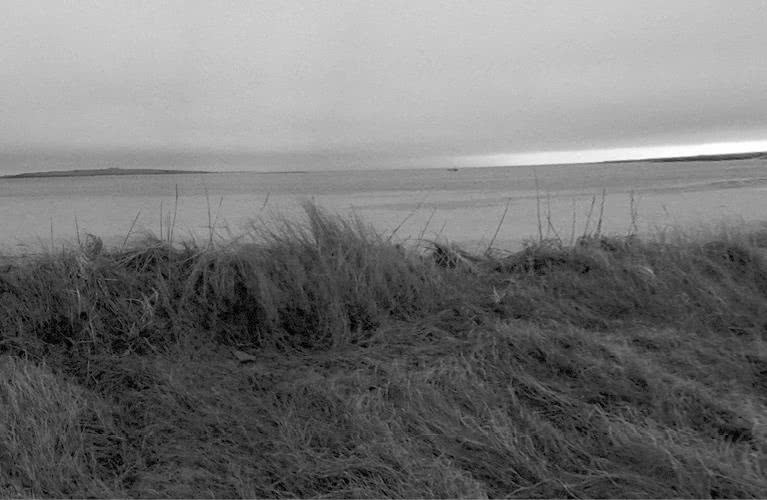 Иллюстрация к книге — Выгон [i_029.jpg]