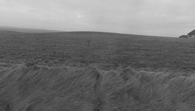 Иллюстрация к книге — Выгон [i_031.jpg]