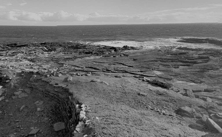 Иллюстрация к книге — Выгон [i_035.jpg]