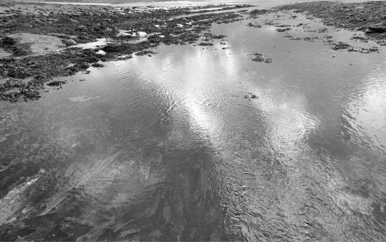 Иллюстрация к книге — Выгон [i_040.jpg]