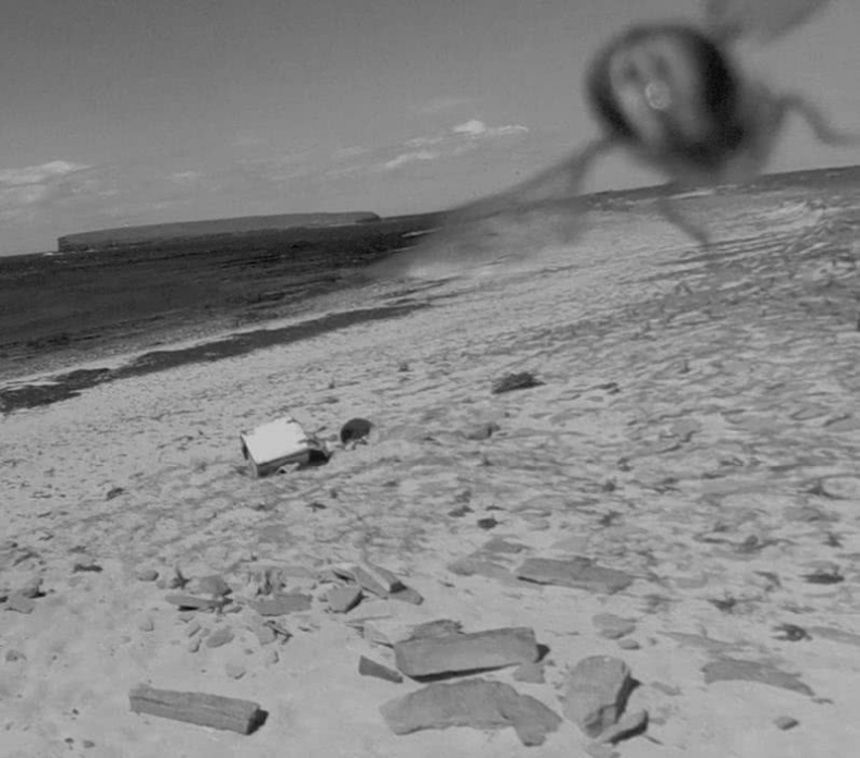 Иллюстрация к книге — Выгон [i_043.jpg]