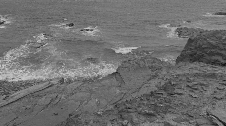 Иллюстрация к книге — Выгон [i_045.jpg]