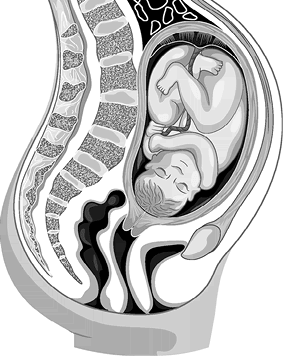 Иллюстрация к книге — Роды – просто [img_14.jpg]