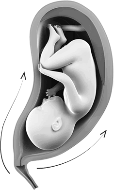 Иллюстрация к книге — Роды – просто [img_18.jpg]