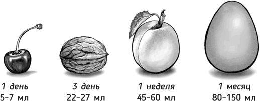 Иллюстрация к книге — Роды – просто [img_29.jpg]